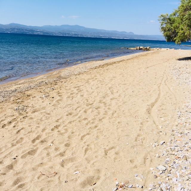 Villa Vlichos Amarynthos Exterior foto